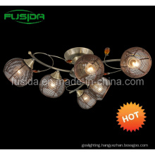 Popular Iron Ball Chandelier Lighting& Iron Lamp